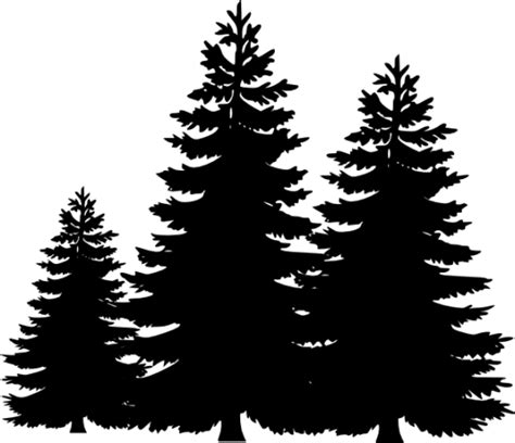 Pine Tree Black And White Clipart