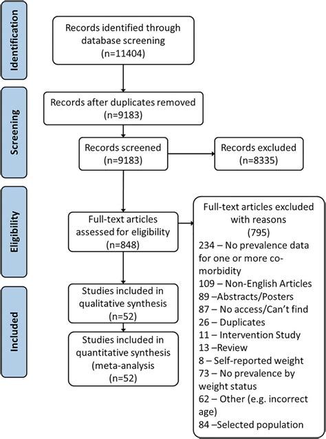 Literature Review Flowchart Template