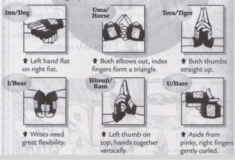 UZUMAKI NARUTO: NINJA HAND SIGNS