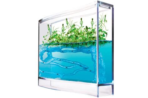 35 ACTIVIDADES PARA DISFRUTAR DE LA NATURALEZA SIGUIENDO LOS PRINCIPIOS ... 