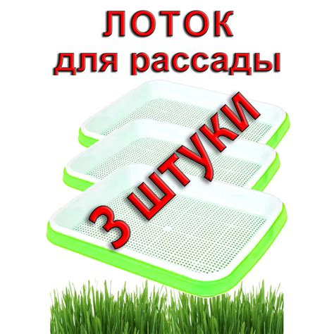 Проращиватель для микрозелени, ростков пшеницы, 3 штуки - купить с ...