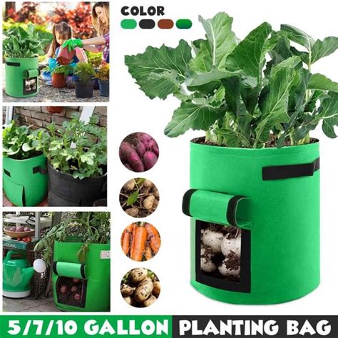 Sac de plantation 10 gallons en tissu non tissé pour légumes et pommes