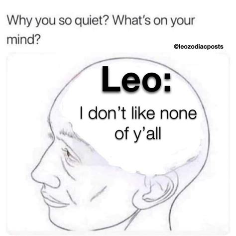 15 Best Leo Memes Quotes That All Leo Zodiac Signs And People Who Love