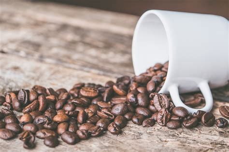 Estudo revela Café pode ser a sua chave para viver mais