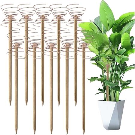 Amazon Pack Electroculture Plant Stakes Long Copper