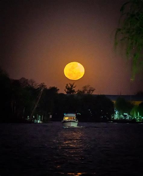 Municipio De Tigre On Twitter Con Esta Hermosa Postal Nos