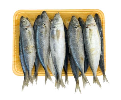 Frozen Seafood Supplier In Singapore S S Kim Enterprises