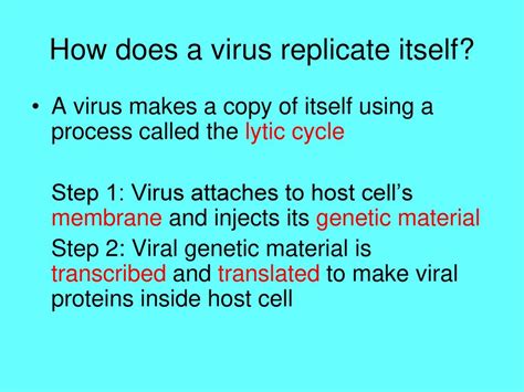 Unit 10 Biodiversity Ppt Download