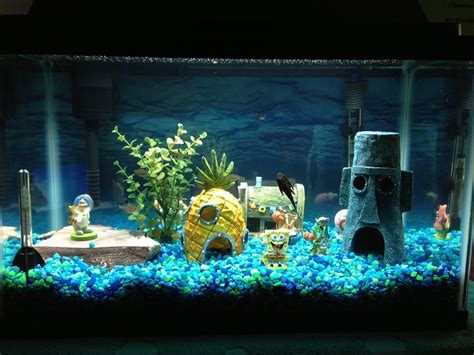 Fish Tank Decorations: A Simple Guide - Aquariphiles