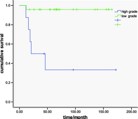 Kaplan Meier Curves Comparing Survival Of Patients With Different