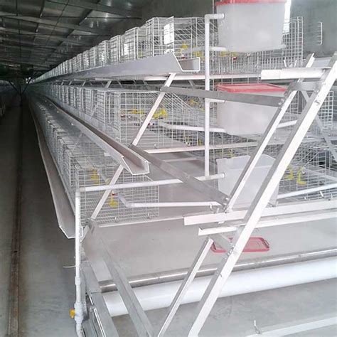 Hot Dipped Galvanized Broiler Chicken Cage H Type Tier Doors For Farm