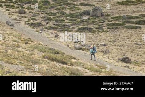 Trekking In Batea Mahuida Volcano Lady Carrying Baby Walking Up The