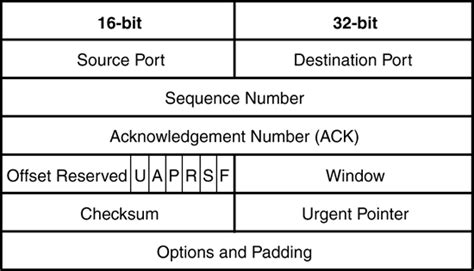 Tcp Ip Layers And Protocols Overview Of Tcp Ip Informit