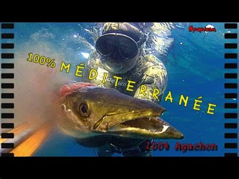 Chasse Sous Marine Big Barracuda De M Diterran E S Ch Net Papicsm