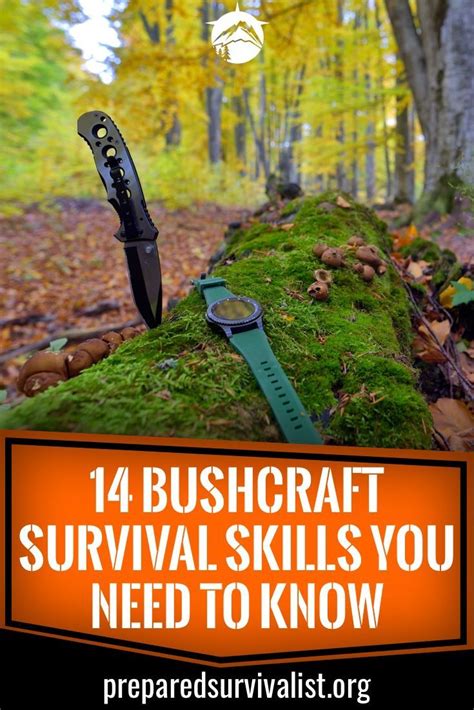 14 bushcraft survival skills you need to know – Artofit