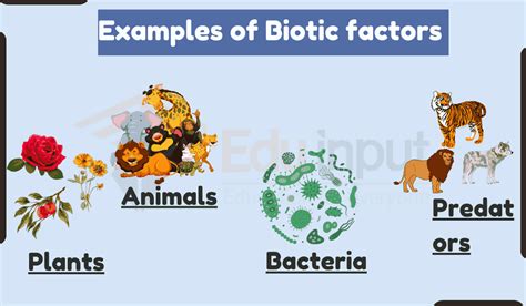 15 Examples of Biotic factors in an Ecosystem