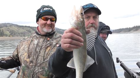 Lake Roosevelt Walleye And Turkey Bonanza Nwfr