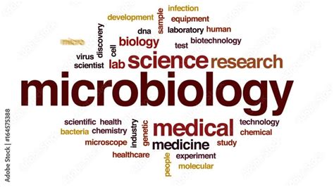 Microbiology Animated Word Cloud Text Design Animation Stock ビデオ