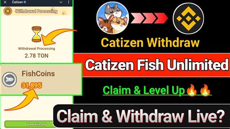 Catizen Level Up Unlimited Catizen Free Fish Catizen Unlimited