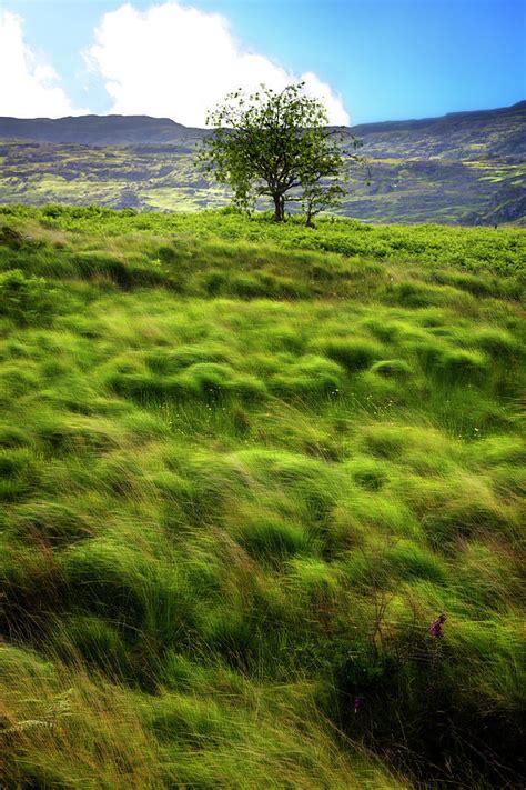 Windswept Mountains Photograph by Debra and Dave Vanderlaan - Fine Art America