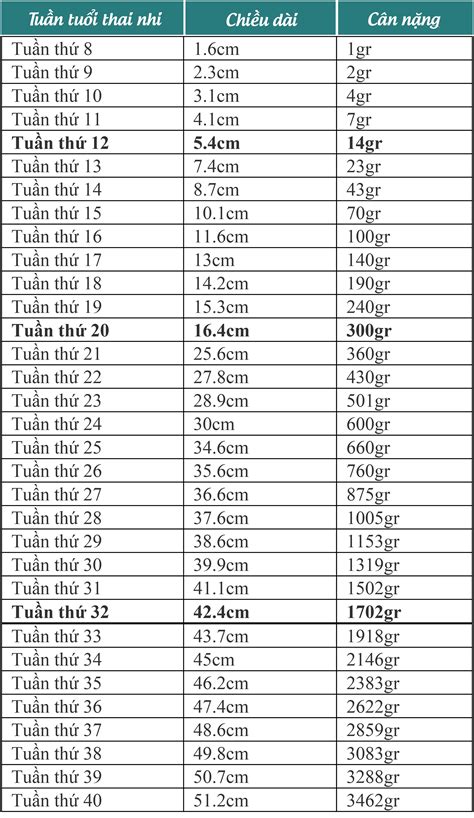 Bảng Cân Nặng Chuẩn Của Thai Nhi Việt Nam Hướng Dẫn Từng Bước Theo Dõi