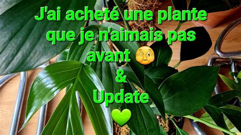 New Plante D Int Rieur Que Je N Aimais Pas Avant Update De Quelques