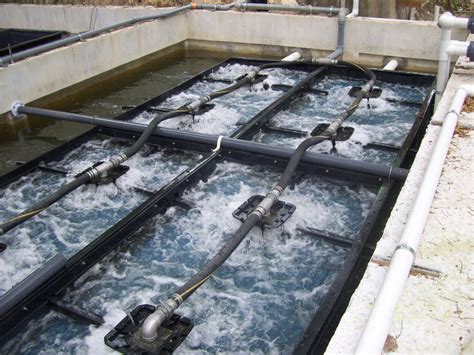 Wastewater Management Systems Wastewater Treatment System