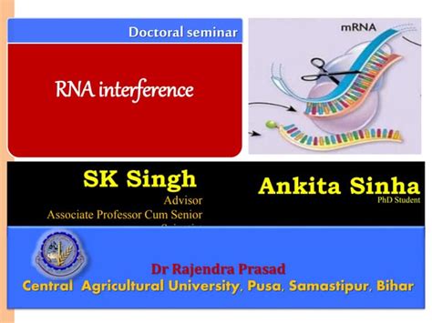 RNA interference | PPT