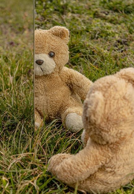 Premium Photo Teddy Bear Looking At His Reflection In The Mirror