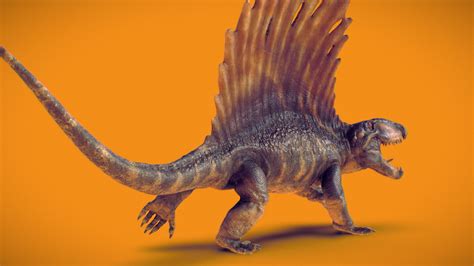 Dimetrodon Buy Royalty Free 3d Model By Marcel Schanz Mschanz