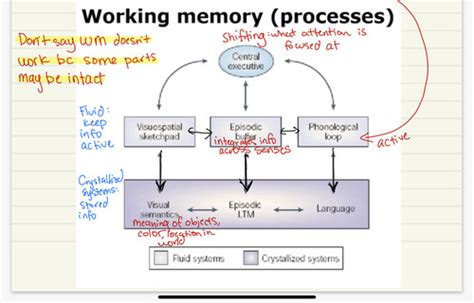 Chapter 5 Memory Systems Flashcards Quizlet