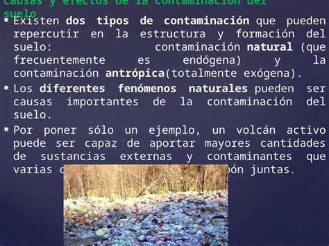 Pptx Causas Y Efectos De La Contaminaci N Del Suelo Dokumen Tips