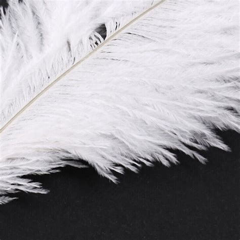 Pieces White Natural Ostrich Feather Cm Wedding Diy V L Ebay