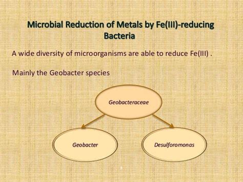 Bioremediation of heavy metals using Fe(III),SULPHATE AND SULPHUR red…