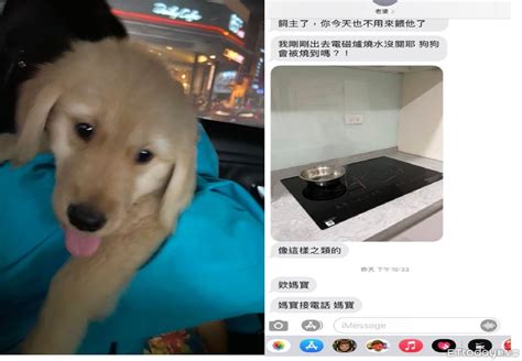 差點變狗狗肉！台南josh愛犬獲救趴肩 她曝正面照：被嚇壞一直哭 Ettoday寵物雲 Ettoday新聞雲