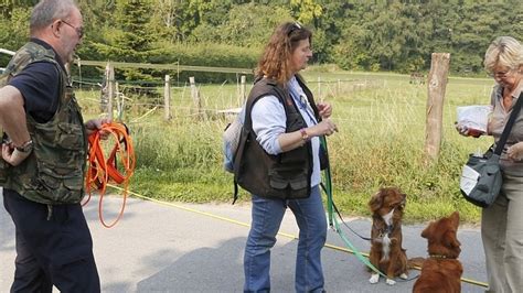 Hunde erschnüffeln Menschen beim Mantrailer Kurs