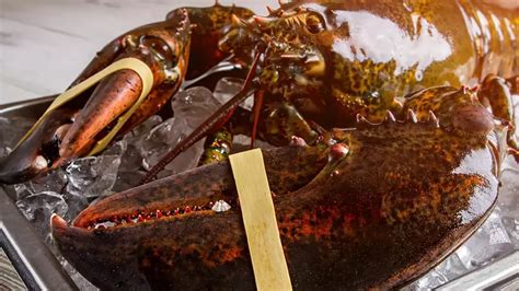 What Size Lobsters Taste The Best Shoplobster