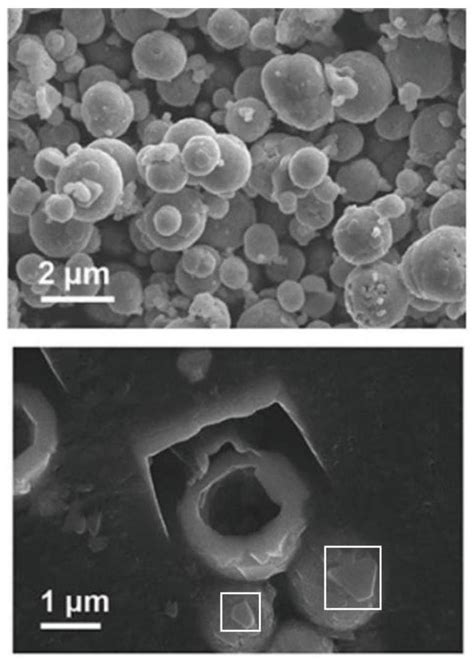 一种钠离子电池层状氧化物正极材料及其制备方法与应用与流程