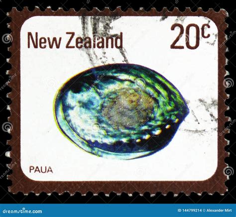 Paua Haliotis Iris, Shells and Snails Serie, Circa 1978 Editorial Stock Image - Image of circa ...