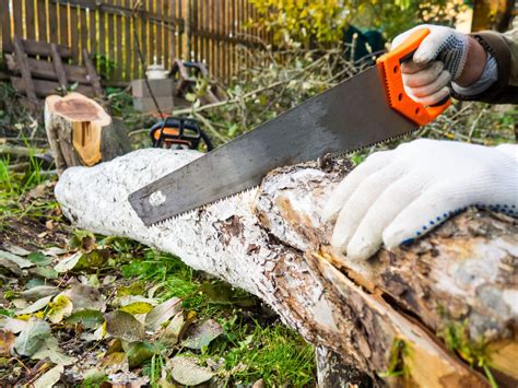 How To Cut Down A Tree With A Hand Saw Sweet New Earth