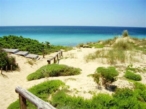 Natura Da Esplorare Il Parco Delle Dune Costiere Casa Vacanze Taranto