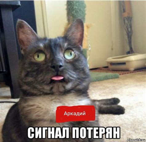 Проблемы женщин № 2356 или про цветные невидимки | Пикабу