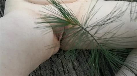 Tit Ass And Pussy Spanking With Tree Branch 44 Pics XHamster