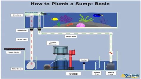 How to Build an Aquarium Filter System: A Step-by-Step Guide for Beginners