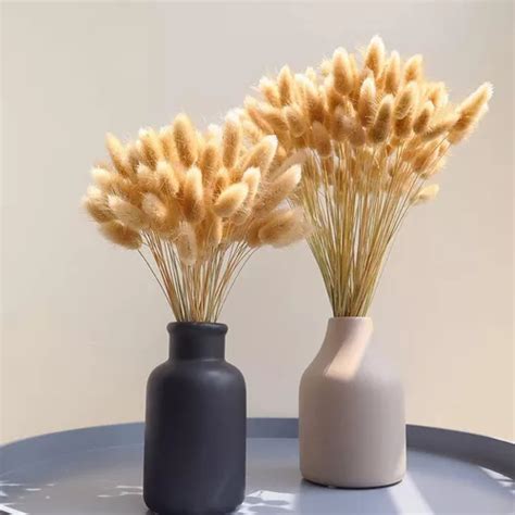 Pampas Secas Pcs Plantas Decorativas Flores Artificiales Meses Sin