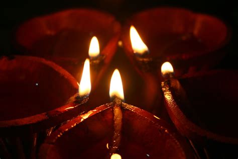 Five Diyas in Diwali Free Photo Download | FreeImages