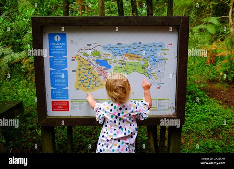 Young Girl Looking At A Map At Center Parcs Longleat Forest Wiltshire