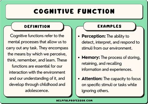 25 Cognitive Function Examples 2025