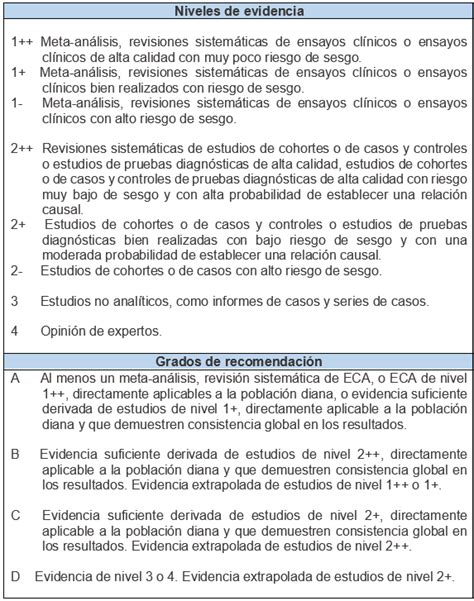 Revisiones Sistem Ticas Y Meta An Lisis En La Investigaci N