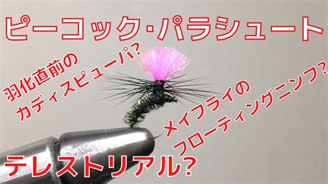 【フライタイイング】ピーコック･パラシュートを巻いてみた！カディスピューパやメイフライのフローティングニンフ、テレストリアルとしても使える